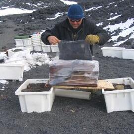 2006 Conservators at work, Robert Clendon, Shackleton's 'Nimrod' hut, Cape Royds