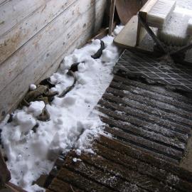 2005 Snow ingress inside Shackleton's 'Nimrod' hut, Cape Royds