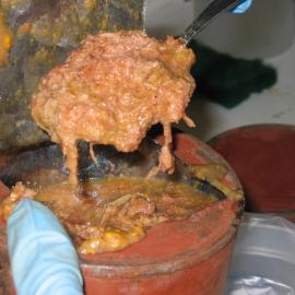 2006 Curried Rabbit removed from can (003)