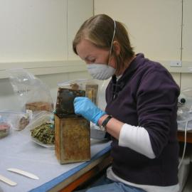 2006 Conservators at work, Nicola Dunn, Scott Base