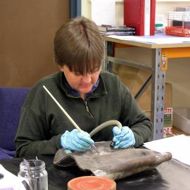 2006 Conservators at work, Sarah Clayton Scott Base