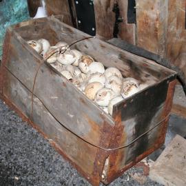 2006 Penguin eggs inside Scott's 'Terra Nova' hut, Cape Evans