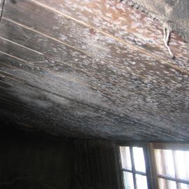 2003 Scott's 'Discovery' hut, interior - Hoar frosting on roof interior (004)