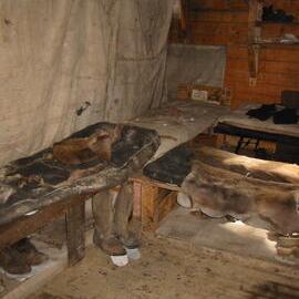 2002 K440B to Shackleton's 'Nimrod' hut, interior - Main room bunks (002)