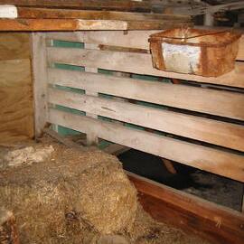 2002 Scott's 'Terra Nova' hut, interior survey image - Stables (007)