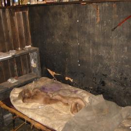 2002 Scott's 'Terra Nova' hut, interior survey image - Wilson and Evans' corner (003)