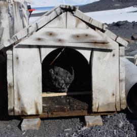 2004-05 Shackleton's 'Nimrod' hut dog kennels (014)
