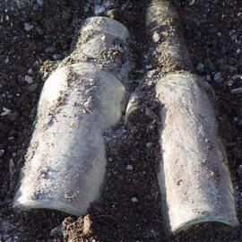 2004-05 Shackleton's 'Nimrod' hut, artefact (009)