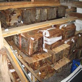 2007-08 Boxes from Bowers' Annexe stored in stables