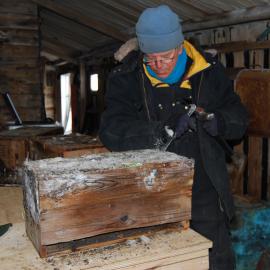 Ted Bugg removing ice from excavated Colman's box