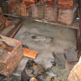 2004-05 Scott's 'Terra Nova' hut, work task, inspection (20)