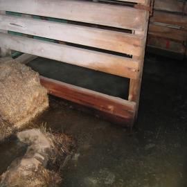 2004-05 Scott's 'Terra Nova' hut, work task, inspection (28)