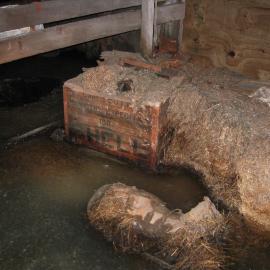 2004-05 Scott's 'Terra Nova' hut, work task, inspection (40)