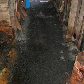 2004-05 Scott's 'Terra Nova' hut, work task, inspection (42)