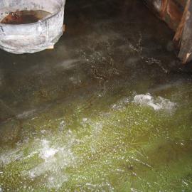 2004-05 Scott's 'Terra Nova' hut, work task, inspection (87)