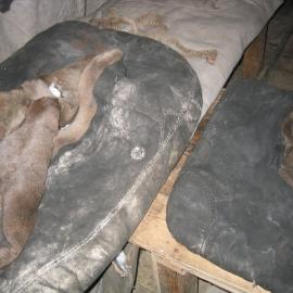 2003-04 Bunks and reindeer fur sleeping bags in Shackleton's 'Nimrod' Hut (008)