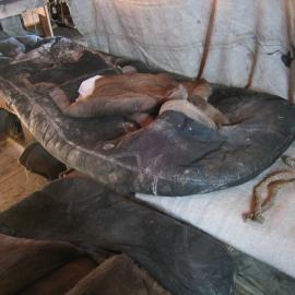 2003-04 Bunks and reindeer fur sleeping bags in Shackleton's 'Nimrod' Hut (010)