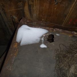 Snow ingress at Scott's 'Discovery' hut (002)
