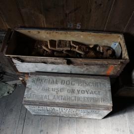 2019-20 Boxes of dog biscuits at Scott's 'Discovery' Hut (001)