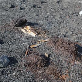 2019-20 Stacks of nails near Scott's 'Terra Nova' Hut (004)