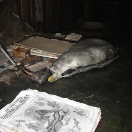 2003-04 Chart table in Scott's 'Terra Nova' Hut 