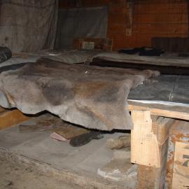 2003-04 Bunks and deer skin sleeping bags in Shackleton's 'Nimrod' Hut 