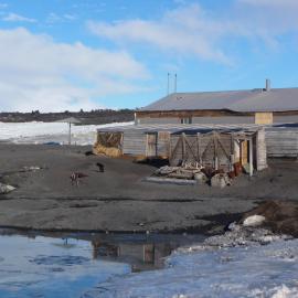 2008-09 'Terra Nova' hut, General exterior (113)