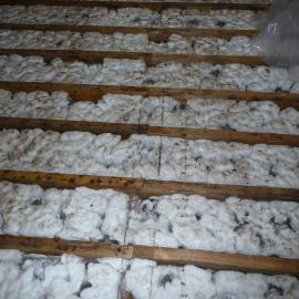 2008-09 'Terra Nova' hut, floor (441)