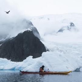 Alexander Hillary kayaking on Antarctic Peninsula