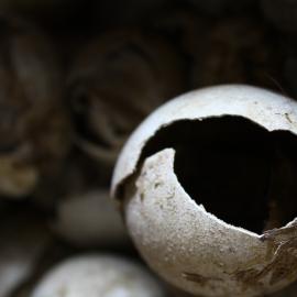 2008-09 'Terra Nova' hut, interior artefacts (154)