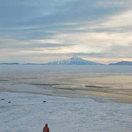 Winter 2009 Atmospheric Landscape (035)