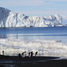 2008-09 Cape Evans, landscape (010)