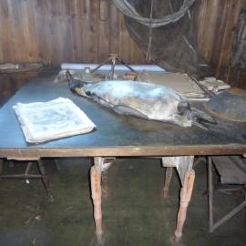 2009-10 Chart table in Scott's Cubicle, Scott's 'Terra Nova' hut