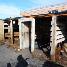 2009-10 Stables door D3 prior to removal, Scott's 'Terra Nova' hut
