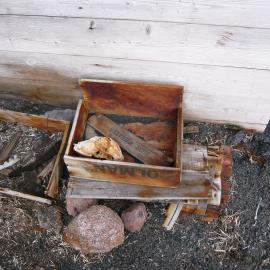 2008 Artefacts outside Shackleton's 'Nimrod' hut, Cape Royds