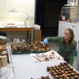 2007 Conservators emptying crates inside the AHT Conservation Lab