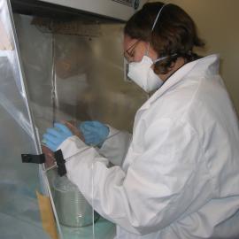2007 Conservator Emily Fryer emptying a can under the fume hood