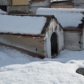 Snow build-up on kennels, Shackleton's 'Nimrod' Hut