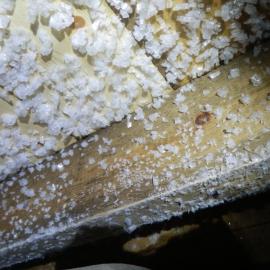Under floor, Shackleton's 'Nimrod' Hut 