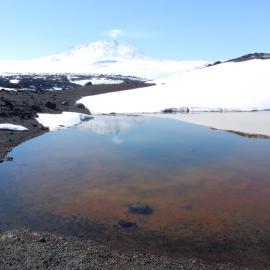 Reflection of Erebus
