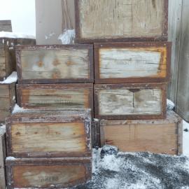 Final box arrangement, Shackleton's 'Nimrod' Hut 