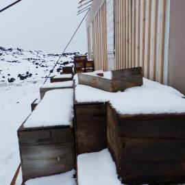 Snow build-up on boxes, Shackleton's 'Nimrod' Hut (003)