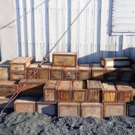 Box arrangement, Shackleton's 'Nimrod' Hut (003)