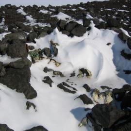 2003 K440 at Cape Crozier - Remnants of Wilson's Igloo (007)