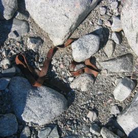 2003 K440 at Granite Harbour - Sled remnants near Granite House (008)