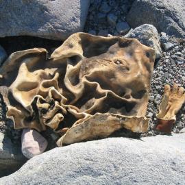 2003 K440 at Granite Harbour - Cape Geology artefact (003)