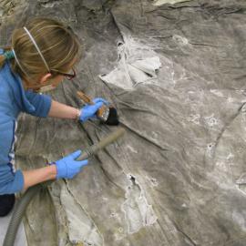 2013-14 Nicola Dunn vacuuming a 'Nimrod' awning (001)