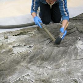 2013-14 Nicola Dunn vacuuming a 'Nimrod' awning (002)