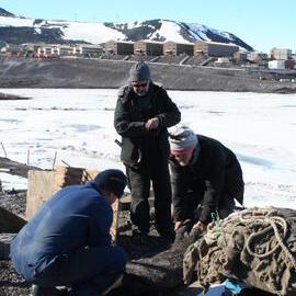 2013-14 AHT team lifting a seal carcass, Hut Point