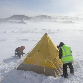2013-14 AHT team erecting a tent at the Cape Royds field camp
